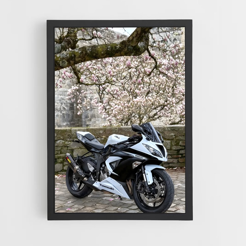 Poster Ninja en Liberté (vue 2)
